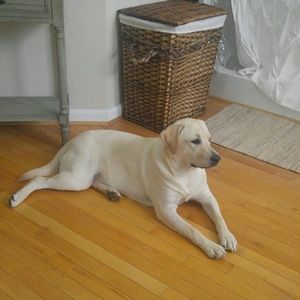 Meet your Posher, Hope